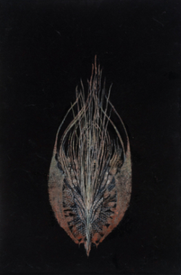 Emergent, 06