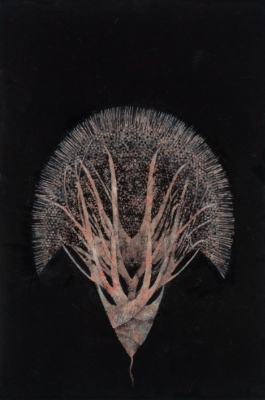 Emergent, 09